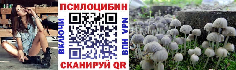 omg ТОР купить наркотики цена Горячий Ключ Галлюциногенные грибы прущие грибы